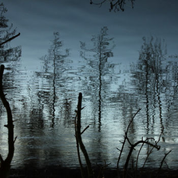"Reflet d'arbres" başlıklı Yerleştirme  Alain Bernegger tarafından, Orijinal sanat
