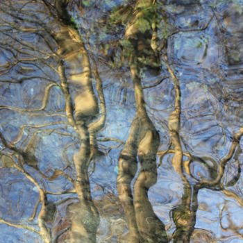 Installatie getiteld "Reflet d'arbre" door Alain Bernegger, Origineel Kunstwerk