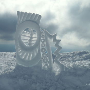 安装 标题为“Création en neige” 由Alain Bernegger, 原创艺术品