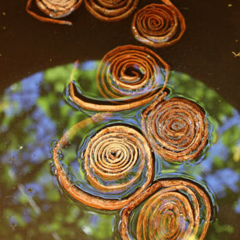 Instalación titulada "Spirales et reflet" por Alain Bernegger, Obra de arte original