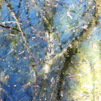 Photographie intitulée "Reflet d'arbre" par Alain Bernegger, Œuvre d'art originale