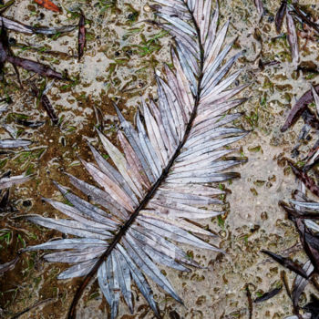 Installation intitulée "Plume de feuilles" par Alain Bernegger, Œuvre d'art originale