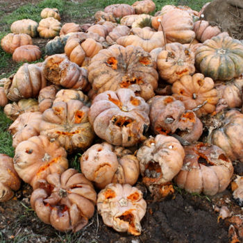 Installazione intitolato "Tas de courges" da Alain Bernegger, Opera d'arte originale