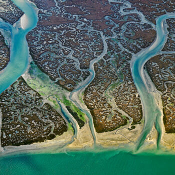 Fotografia zatytułowany „Ria Formosa, Portug…” autorstwa Bernhard Edmaier, Oryginalna praca, Fotografia cyfrowa