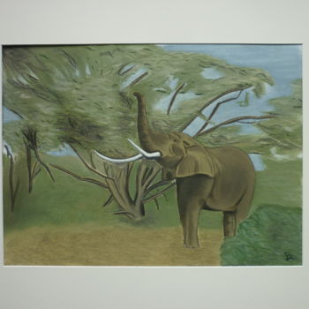 Drawing titled "ELEPHANT D 'AFRIQUE" by Bertrand Lhermenier, Original Artwork, Pastel Mounted on Cardboard