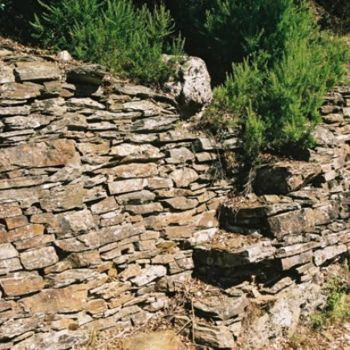 "escaliers  en céven…" başlıklı Fotoğraf Michel Bettendroffer tarafından, Orijinal sanat