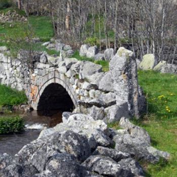 "Paysage de montagne" başlıklı Fotoğraf Michel Bettendroffer tarafından, Orijinal sanat