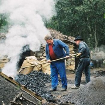 "la fabrication du c…" başlıklı Fotoğraf Michel Bettendroffer tarafından, Orijinal sanat