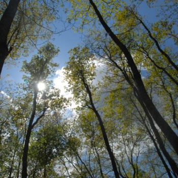 Fotografie getiteld "rayons de soleil" door Michel Bettendroffer, Origineel Kunstwerk