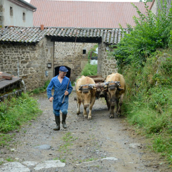 Photography titled "Michel, paysan du d…" by Michel Bettendroffer, Original Artwork