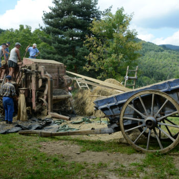 "berne-bat-2014-29.j…" başlıklı Fotoğraf Michel Bettendroffer tarafından, Orijinal sanat