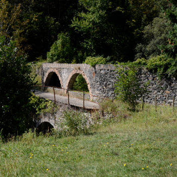 Photography titled "beal-en-cevennes.jpg" by Michel Bettendroffer, Original Artwork