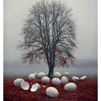 "Hibernation 1/3" başlıklı Fotoğraf Bettina Dupont tarafından, Orijinal sanat, Fotoşoplu fotoğrafçılık
