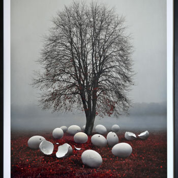 Fotografia intitulada "Hibernation 2/3" por Bettina Dupont, Obras de arte originais, Fotografia digital