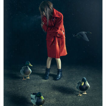 Photographie intitulée "Un froid de canard…" par Bettina Dupont, Œuvre d'art originale, Photographie numérique