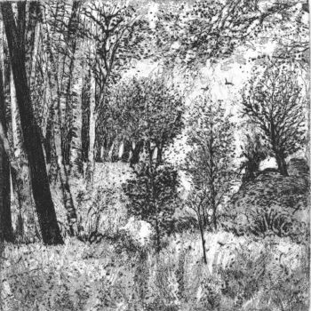 Tekening getiteld "" Paysage de forêt…" door Abol, Origineel Kunstwerk
