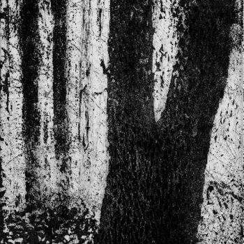 Dessin intitulée ""L'arbre et  la lum…" par Abol, Œuvre d'art originale