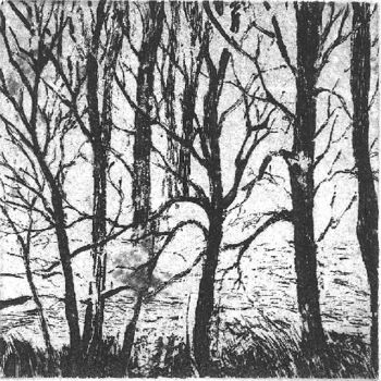 Disegno intitolato "" Série d'arbres "…" da Abol, Opera d'arte originale