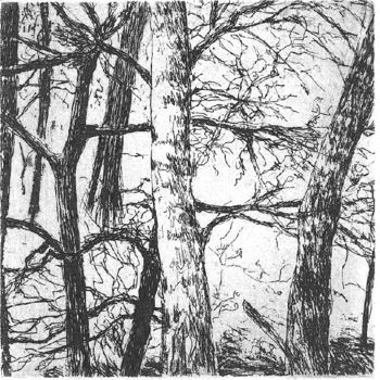 Dessin intitulée ""Les arbres de Font…" par Abol, Œuvre d'art originale