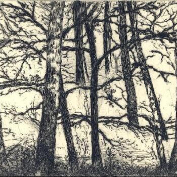 Disegno intitolato ""Les arbres de Font…" da Abol, Opera d'arte originale
