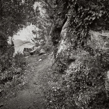 "The Way Home From T…" başlıklı Fotoğraf Georgy Bezborodov tarafından, Orijinal sanat, Dijital Fotoğrafçılık