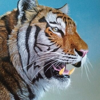 Painting titled "Tiger" by Barry Gray, Original Artwork, Acrylic