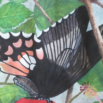 Malerei mit dem Titel "Close up of Butterf…" von Bhagvati Nath, Original-Kunstwerk, Andere
