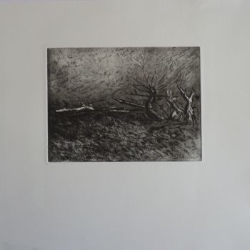 Printmaking titled "Branche sur la plage" by Brigitte Bibard-Guillon, Original Artwork, Etching