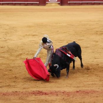 「Corrida 09」というタイトルの写真撮影 Bi2kirによって, オリジナルのアートワーク