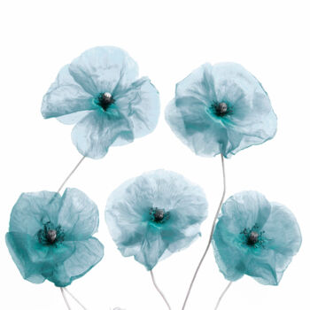 Photographie intitulée "Blue Poppies" par Bilge Paksoylu, Œuvre d'art originale, Photographie numérique
