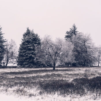 Photographie intitulée "Winter Landscape Ph…" par Bilge Paksoylu, Œuvre d'art originale, Photographie numérique