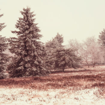 Фотография под названием "Winter Landscape Ph…" - Bilge Paksoylu, Подлинное произведение искусства, Цифровая фотография