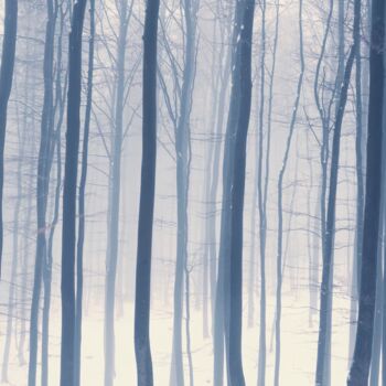 Photographie intitulée "Winter Landscape Ph…" par Bilge Paksoylu, Œuvre d'art originale, Photographie numérique