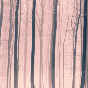 Photographie intitulée "Dreamy Forest Photo…" par Bilge Paksoylu, Œuvre d'art originale, Photographie numérique