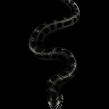 Цифровое искусство под названием "Snake" - Bilge Paksoylu, Подлинное произведение искусства, Изображение, сгенерированное ИИ