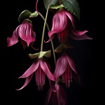 Arts numériques intitulée "Low Key Flowers" par Bilge Paksoylu, Œuvre d'art originale, Image générée par l'IA