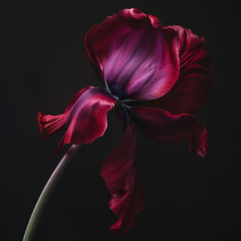 Digital Arts titled "Red Flower 3" by Bilge Paksoylu, Original Artwork, AI generated image
