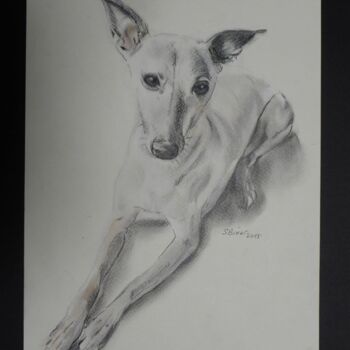 Drawing titled "chien sphynx" by Sophie Binet, Original Artwork, Pastel