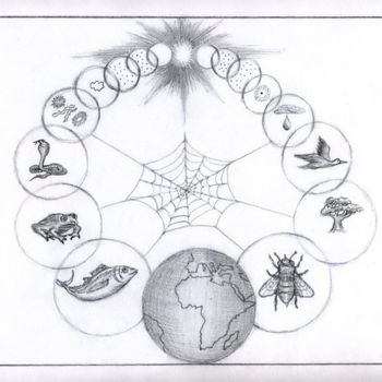 Dessin intitulée "La biodiversité" par Bio7, Œuvre d'art originale