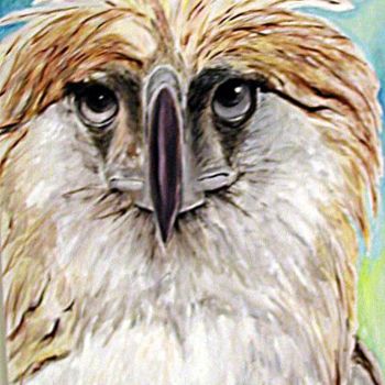 Painting titled "Philippine Eagle" by Betty James, Original Artwork