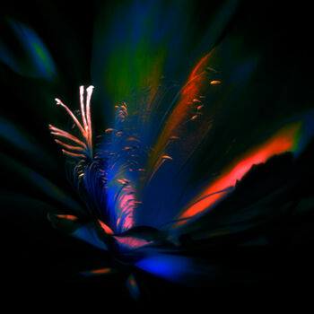 「Glowing Flower」というタイトルの製版 Lewis Freitagによって, オリジナルのアートワーク, デジタルプリント ウッドストレッチャーフレームにマウント