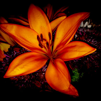 Printmaking titled "The Blooming Lilies" by Lewis Freitag, Original Artwork, Digital Print Mounted on Wood Stretcher frame