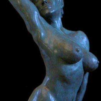 Sculptuur getiteld "No Title" door Blaise Devissi, Origineel Kunstwerk