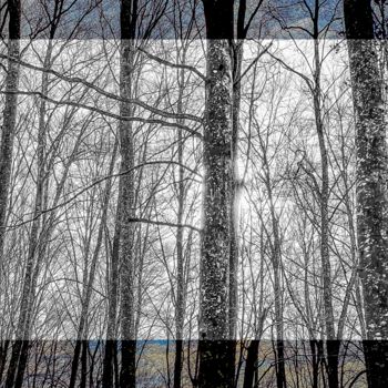 Photography titled "LA FORET ENNEIGEE R…" by Blaise Lavenex, Original Artwork, Manipulated Photography