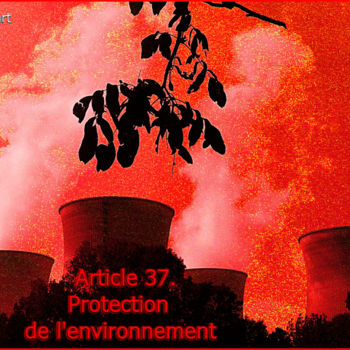 Fotografia intitolato "EUROPE, ARTICLE 37" da Blaise Lavenex, Opera d'arte originale