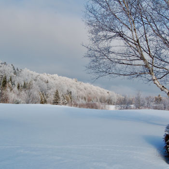 Fotografie mit dem Titel "Montagne de givre a…" von Pierre Desmarchais, Original-Kunstwerk, Digitale Fotografie