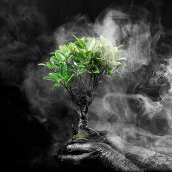 "Déforestation" başlıklı Fotoğraf Blandine Legros tarafından, Orijinal sanat, Dijital Fotoğrafçılık