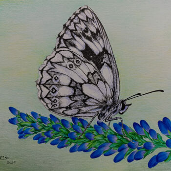 Картина под названием "The Butterfly 2" - Bledi Kita, Подлинное произведение искусства, Карандаш
