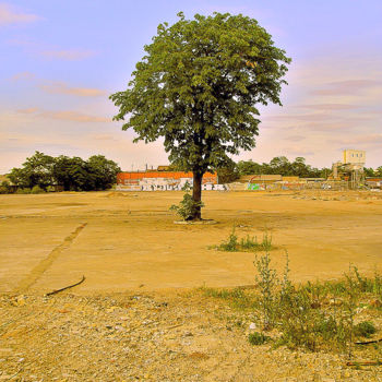 「Tree T」というタイトルの写真撮影 Blindmindによって, オリジナルのアートワーク