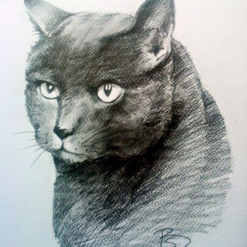Рисунок под названием "Cat" - Beata Sikorska-Łabęcka, Подлинное произведение искусства, Другой